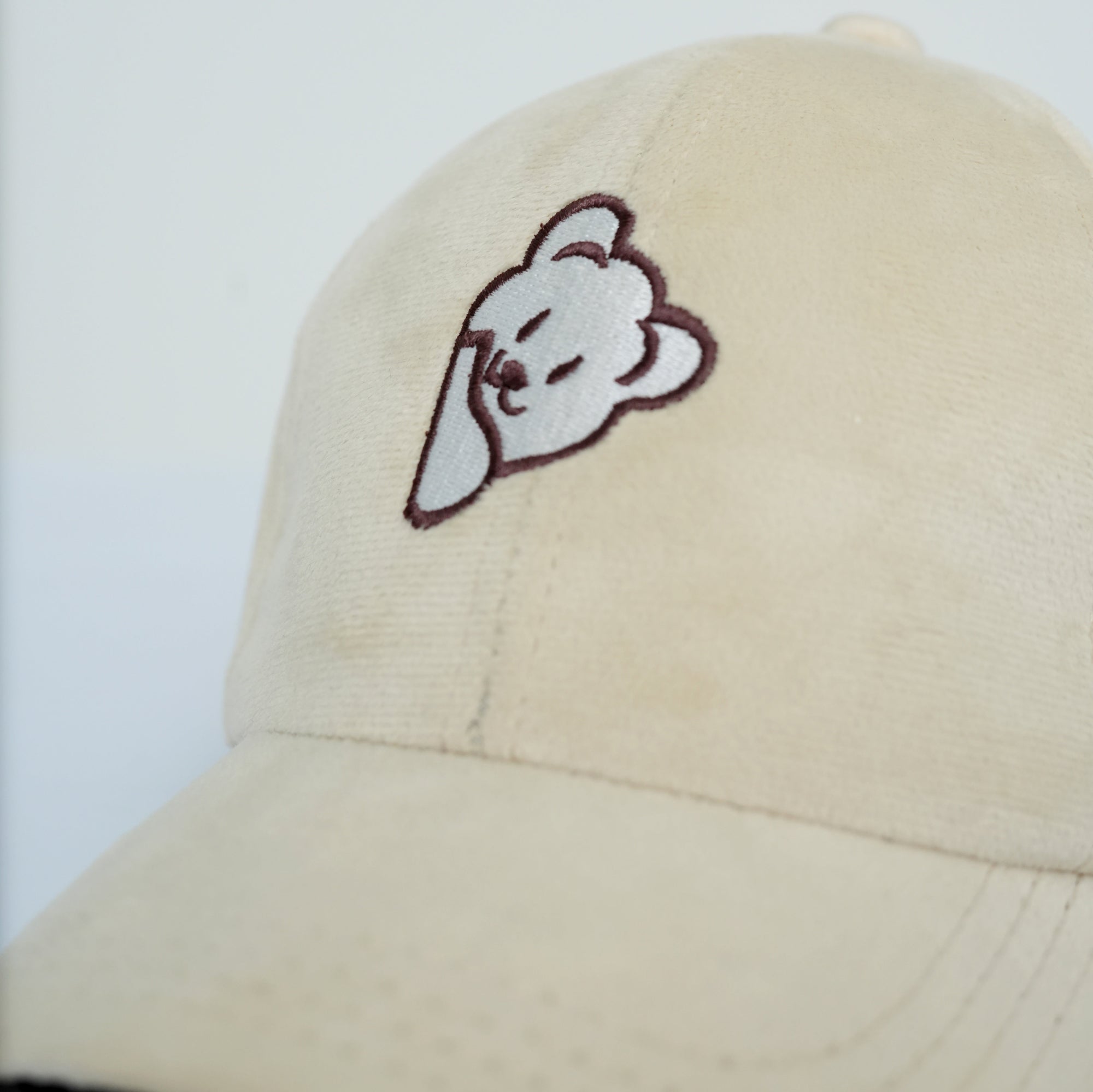 Men cotton and suede caps online in Pakistan. Baseball caps, caps for men, premium caps, caps pakistan